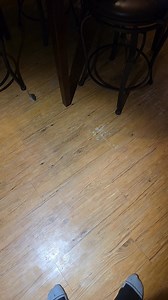 I don't know. I came home and walked in and he was sitting there looking at me. Then he started burning off the tires and hasn't really stopped. There are are no drugs or vermin poison in my house. No idea what caused this, nor at the time of posting, what will come of it. #mouse #NASCAR #circus #funny #funnyvideos #fypシ #fypシ゚viralシfypシ゚ #foryoupageシ | John Bushar