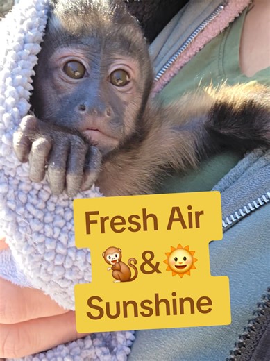 Sunshine and monkey kisses for the win!! #lulabelle #furbaby #fyp #sunshine