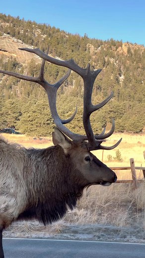 Pretty cool windshield reflection! | Good Bull Outdoors
