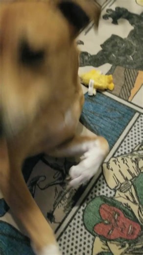 Roland being Roland. Oliver being Oliver  | The Roland Report | Facebook