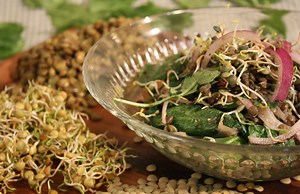 Lentil, Lentil Sprout & Spinach Salad with Warm Bacon Vinaigrette by Chef Michael Smith
