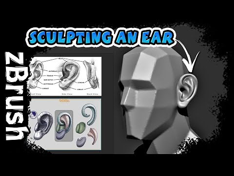 How to Sculpt an Ear in zBrush (Beginner Friendly Tutorial)