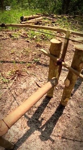 How to make a trap #wildliferescue #animaltrap #hamster #birdsong #birdtrap #mousetrap #birdcontrol