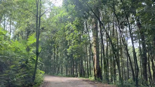 Semi Yulianto on Reels | Facebook