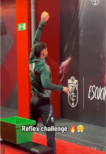 Reflex Challenge: Test Your Speed and Fast Hands