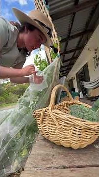 My Mum had faith in me