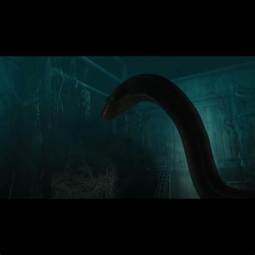 The python devoured the human.