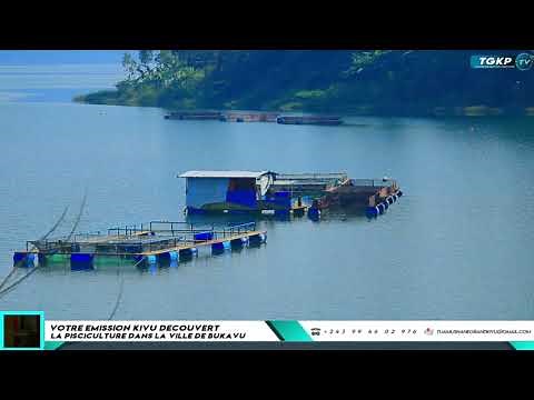 La pisciculture moderne en eau douce dans le lac kivu à Bukavu.