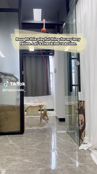 Every cat needs an interactive toy to satisfy their huntinginstincts.#christmas #Pettoys#birdtoys#catlovers#tiktokshopfalldealsforyou