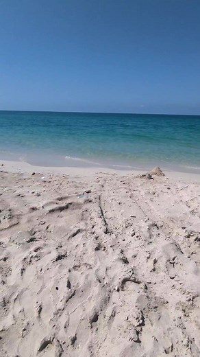 Exploring the Beauty of Ajman Beach: A Local's Favorite Summer Spot