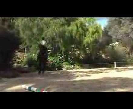 Re-Training the Standardbred Horse