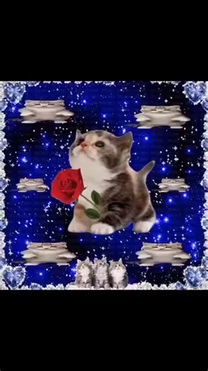 vTrack id: Mark Hennson, Hardstyle.exe - Barbie Girl (Hardstyle) #hardstyle #barbiegirl #cat #lyrics