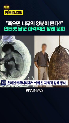 Causing a stir even before official release? 'Surprised' by unique capsule graveyard photo / KNN