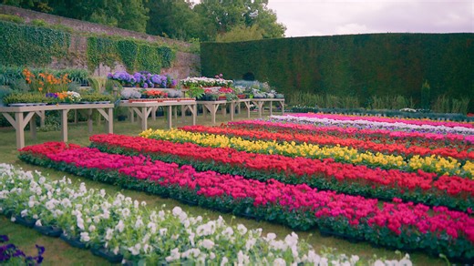 These Gardening Shows and Movies Are in Full Bloom