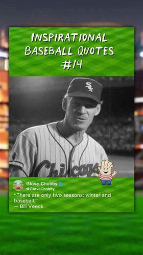 Inspirational Baseball Quotes #14