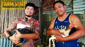 💯EPIC Farm Tour in Cebu:From Piggery to Heritage Poultry, Ducks, Bantams, Turkeys, Shamo, Goats! 👉👉 Join us for an exciting farm tour in Pinamungajan, Cebu! We visited Sir Greg’s family farm — from their hardworking piggery to their new poultry setup, including heritage chickens, rare ducks, bantams, giant turkeys, Shamo , Basilan, and goats! 🐓 We didn’t just tour — we shared tips and advice to help Sir Greg start strong in poultry farming. Whether you’re new or experienced, you’ll pick up p