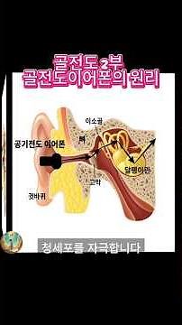 골전도 이어폰2부 골전도의 원리