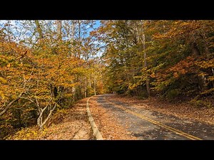 [4k] Beautiful Autumn Colors in Washington DC 🍁 Rock Creek Park Fall ambience | Walking Tour 2023