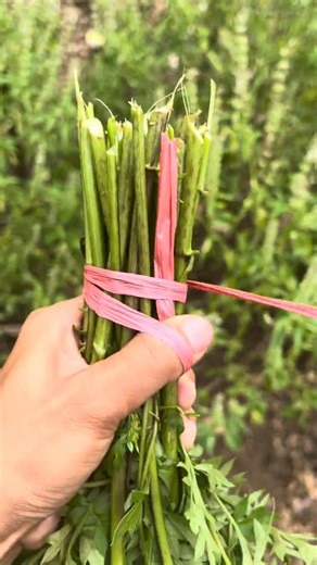 Vegetable Knot tying Technique!