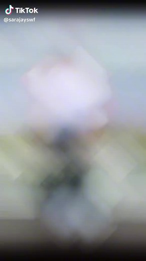 user88207933761 (@sara.jay.official1)’s videos with original sound - user88207933761