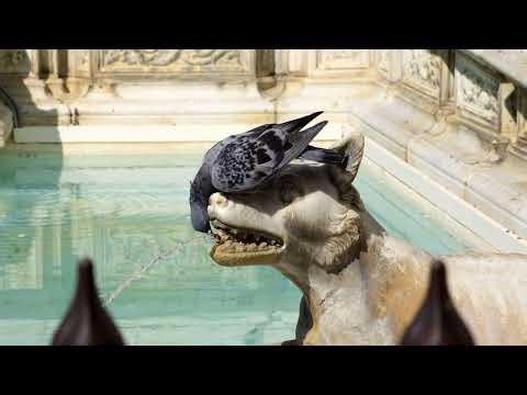 Mega Man 11 speedrun by BlueJay2018 | jure wallah 2