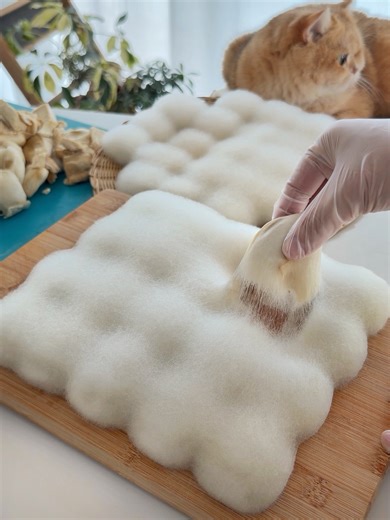 Tasty Spicy Moldy Tofu （霉豆腐）🌶️ The blue cheese of China. 🧀 Would You Try Moldy Tofu? Be Honest！ 🥢Main Ingredient: Soybeans 🧂Seasonings: Salt, gypsum/nigari (for curdling), chili flakes, chili powder, coarse chili powder, Sichuan peppercorn powder, ginger powder 🍳Steps: 1. Wash the soybeans, soak in water until swollen, drain, add water and grind into soy milk, boil in a pot and skim off the foam 2. Cool the soy milk to a suitable temperature, add gypsum/nigari and stir well, let stand until