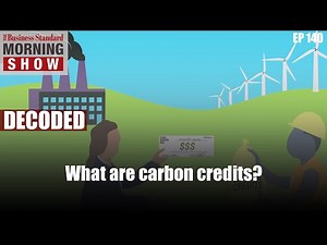 What are carbon credits?