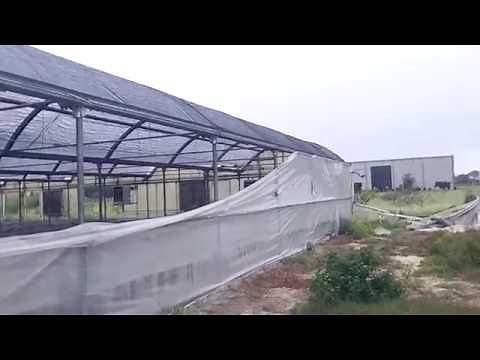 commercial greenhouse for sale