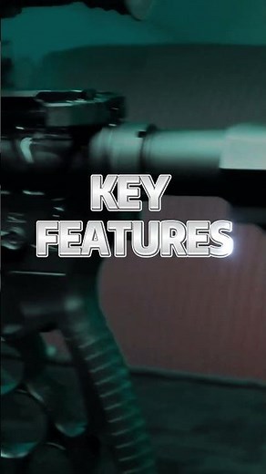 LN-QE-RS digital day/night sights