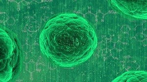 Neuronale Netze: KI-System vermehrt sich selbst, um effizienter zu werden - Golem.de