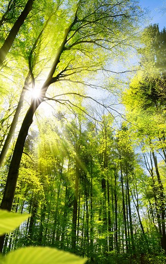 Science Behind the BioCharger | Solution for Modern Day Problems