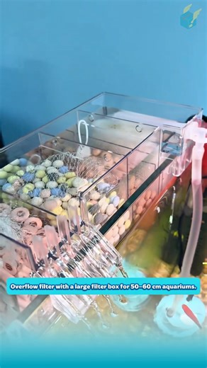 Overflow filter with a large filter box for 50–60 cm aquariums