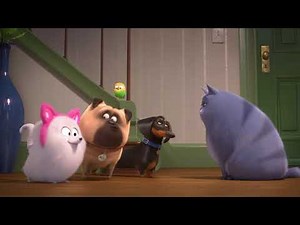 『ペット』最新作 日本オリジナル特報