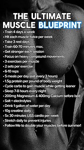 THIS Is How You Build Muscle! Follow Lars.Langen for more hacks on how to build more muscle faster! #muscleblueprint #muscletips #musclegain #fitnessblueprint #workoutblueprint | Lars.Langen