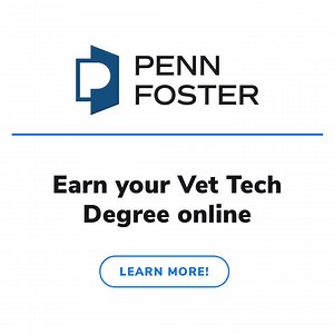 Earn your AVMA-CVTEA fully accredited Veterinary Technician Degree. Online and 100% self-paced program to fit your busy life. | Penn Foster