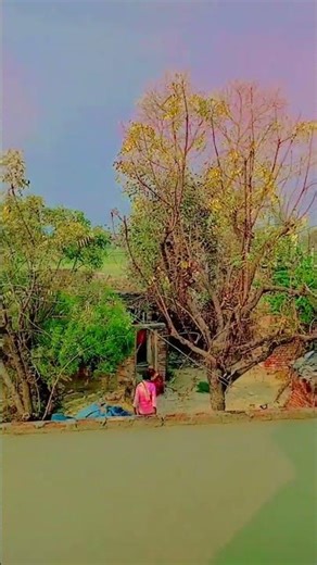 Nasiba bhi kya rang laya😉 #song #hindisong