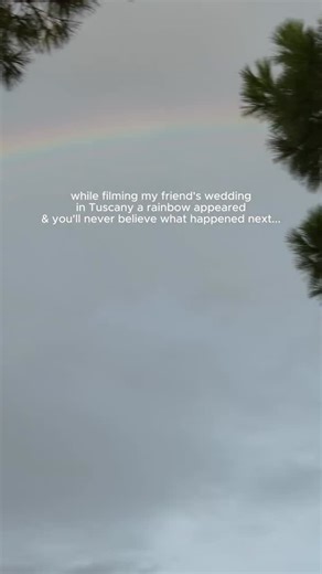 Good News on Instagram: "This is literally the most wholesome video on the internet right now 😭💙💛 (via: @allymmichele @ninaisonlocation @ravenberlinphoto"