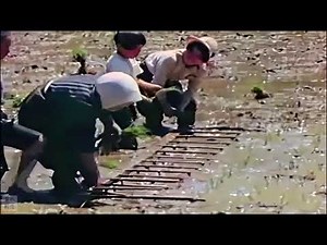 Japanese Agricultural Life（1946）
