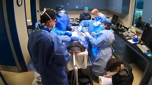 Shark receives successful spinal surgery from Ocean Springs surgeon