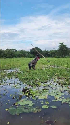 ​I Caught a GIANT Fish with a Traditional Spear in the Deep Lake!