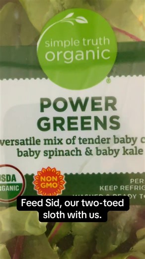 Feed Sid, our two-toed sloth with us.🦥 Sloth encounters: https://book.squareup.com/appointments/l2s7r644kitcgw/location/L78W72831DKJF/services/QZL4XLS3HLE6AET3GJBRRXOG | Traveling Acres Petting Zoo
