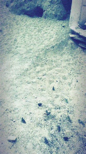 Mapi 🥷🏾 (@mapi89)’s videos with original sound - DUDU