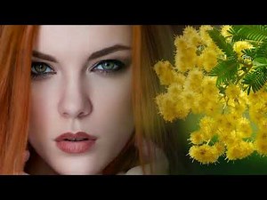 Senses - zero-project (2020)