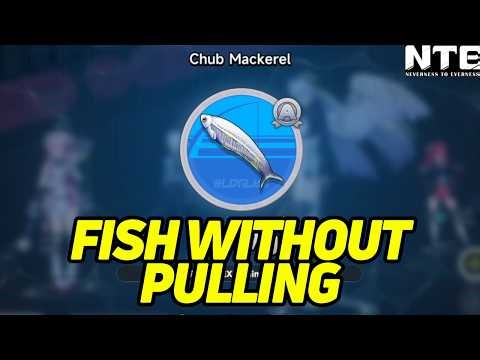 How to Catch Any Fish Without Fail!【Neverness To Everness】