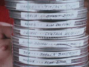 Ed Wood's Dirty Movie Collection (DVD)