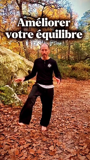 26 reactions | 3 exercices simples pour améliorer ton équilibre...