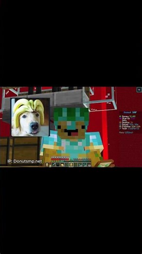 Wither Skulls Made Me RICH on Donut SMP