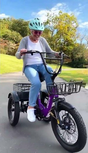 Eskute T300 Folding Electric Trike Vertical Screen E-Bike
