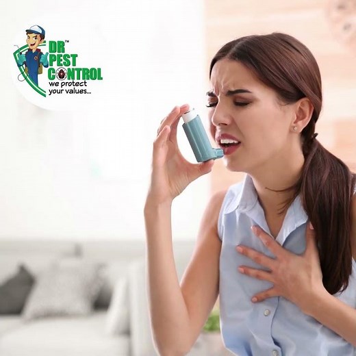 Cockroach Control Service by DR Pest | Safe & Effective Treatment for Homes & Offices