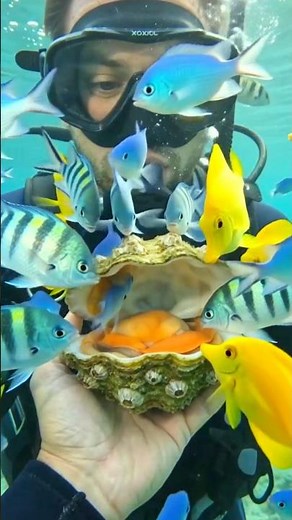 Exploring the Hidden Wonders of the Deep Sea 🌊 Shell Treasure Found!